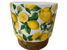 Load image into Gallery viewer, Decoupage Plant Pot
