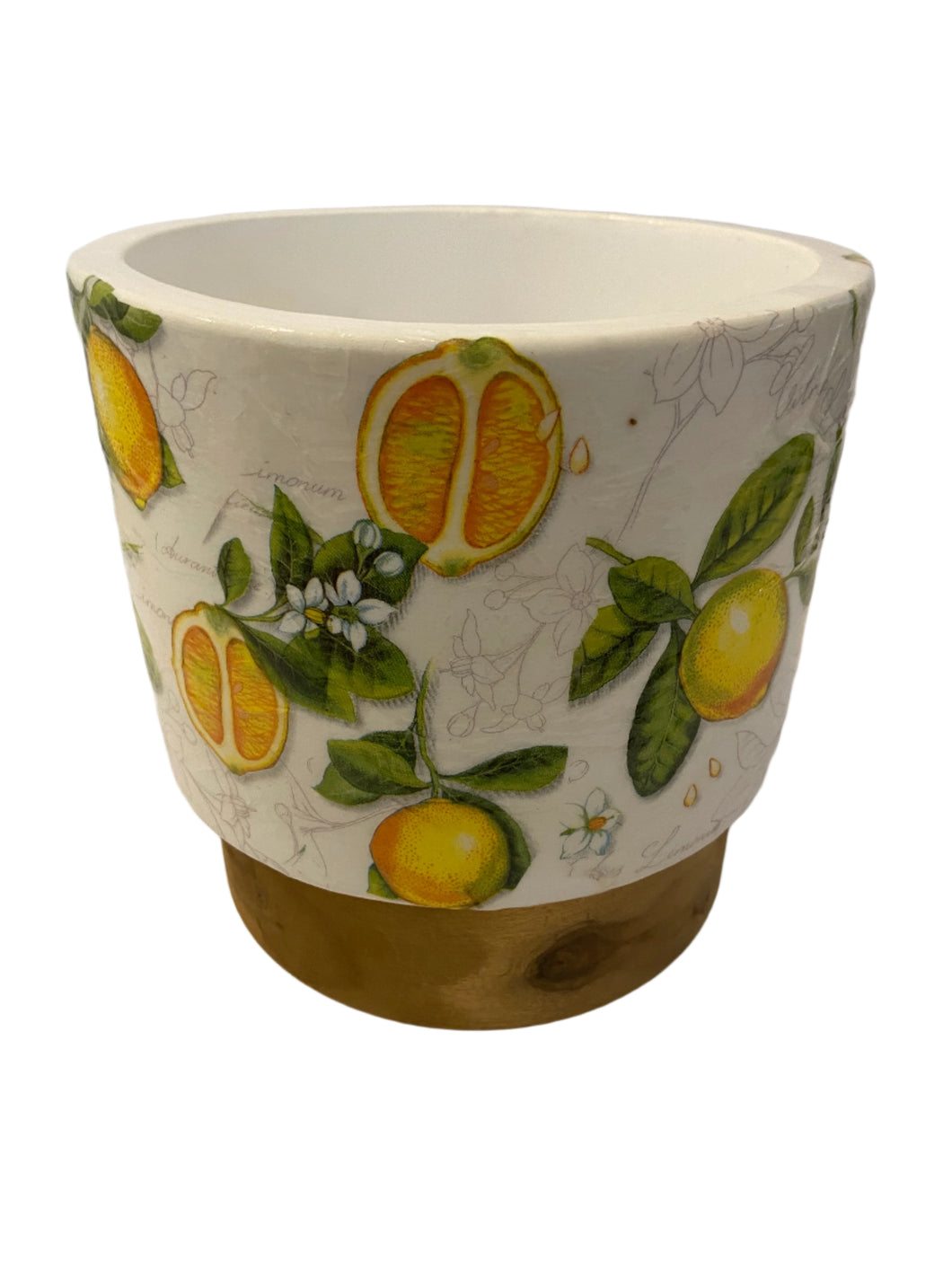 Decoupage Plant Pot