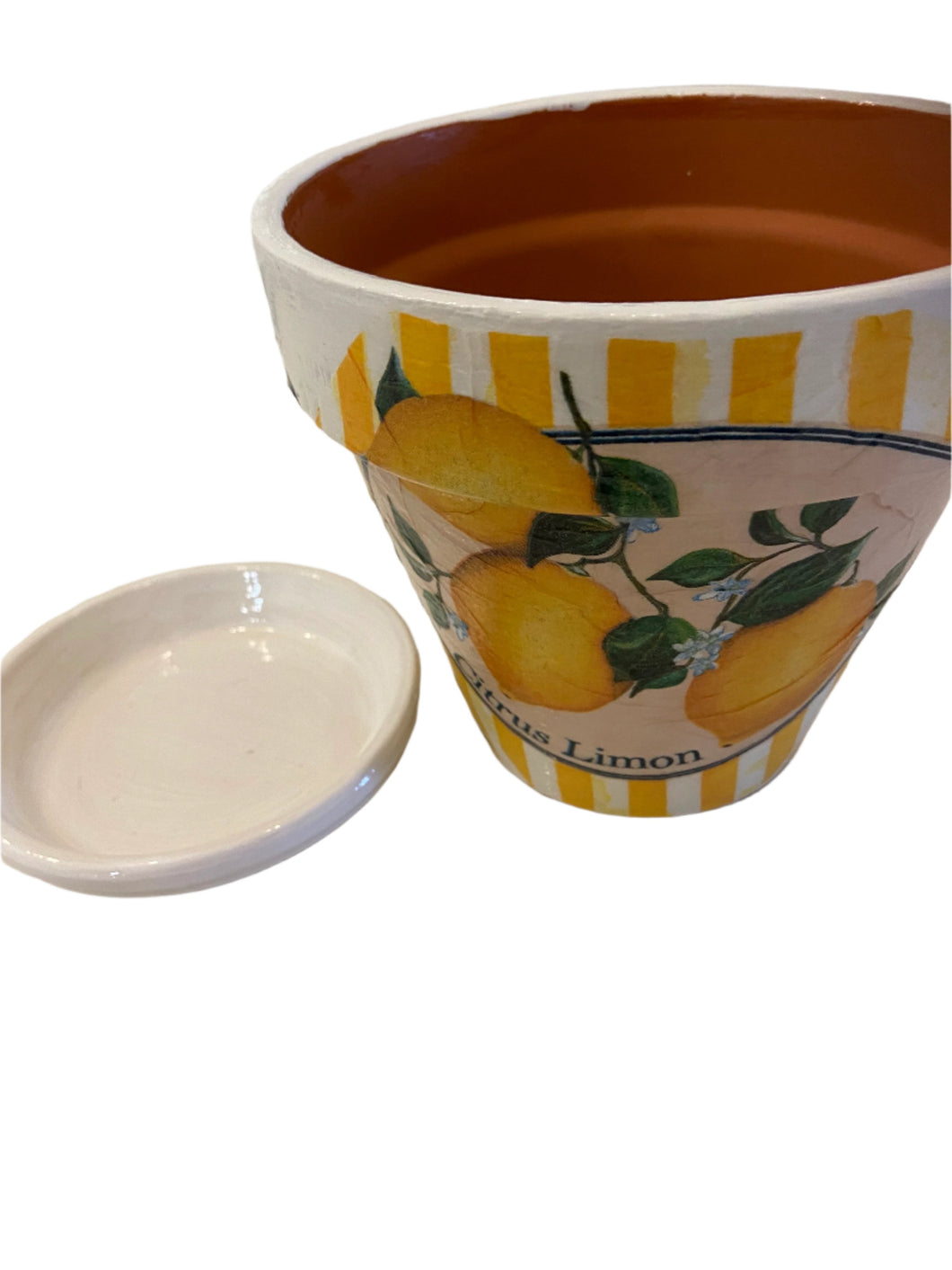 Decoupage Plant Pot