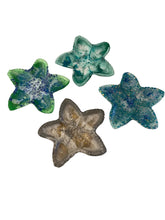 Load image into Gallery viewer, Resin Starfish Dishes
