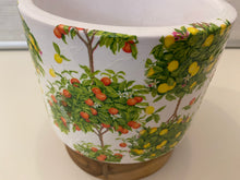 Load image into Gallery viewer, Decoupage Plant Pot
