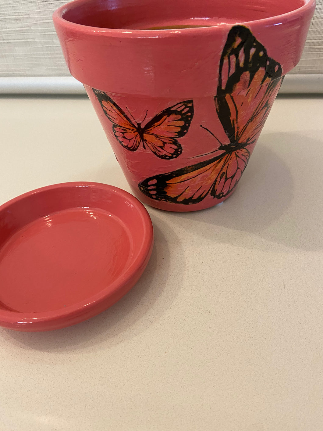 Decoupage Plant Pot