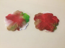 Load image into Gallery viewer, Resin Flower Coasters
