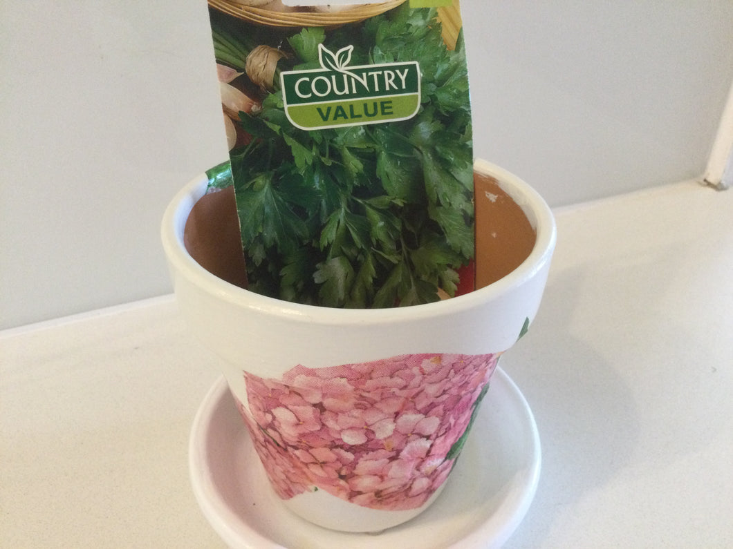 Decoupage Plant Pot