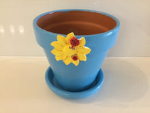 Load image into Gallery viewer, Hand Painted Plant Pot
