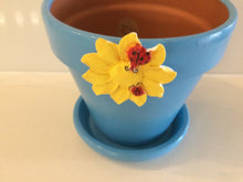 Load image into Gallery viewer, Hand Painted Plant Pot
