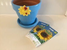 Load image into Gallery viewer, Hand Painted Plant Pot
