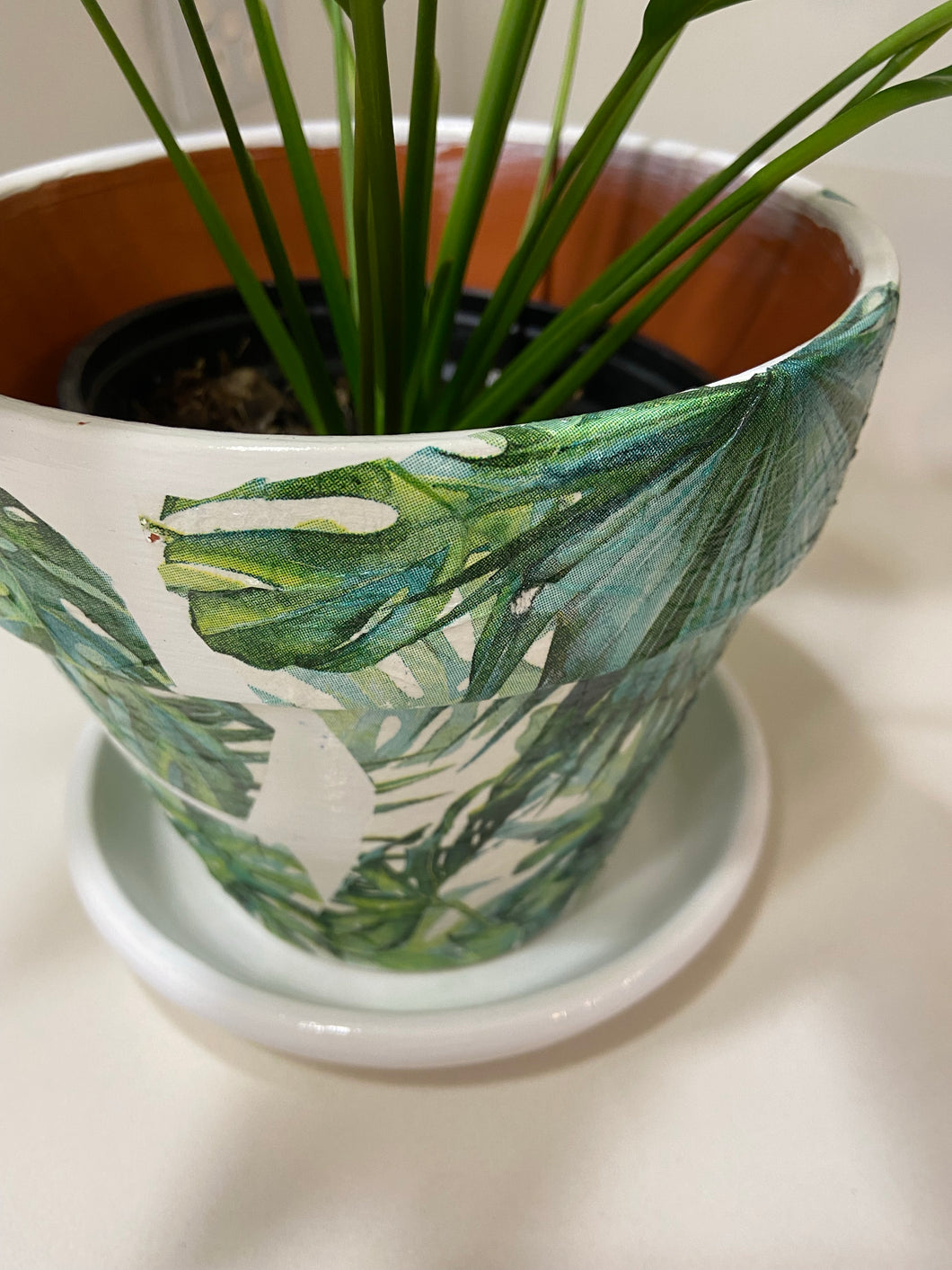 Decoupage Plant Pot