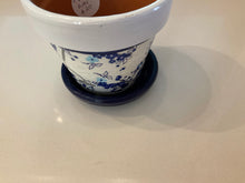 Load image into Gallery viewer, Decoupage Plant Pot
