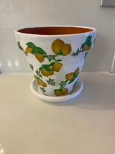 Load image into Gallery viewer, Decoupage Plant Pot
