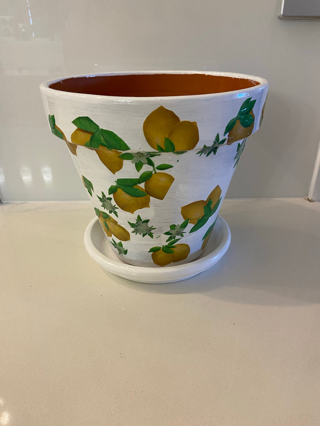 Decoupage Plant Pot