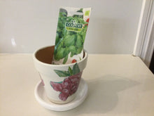 Load image into Gallery viewer, Decoupage Plant Pot
