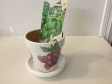 Load image into Gallery viewer, Decoupage Plant Pot
