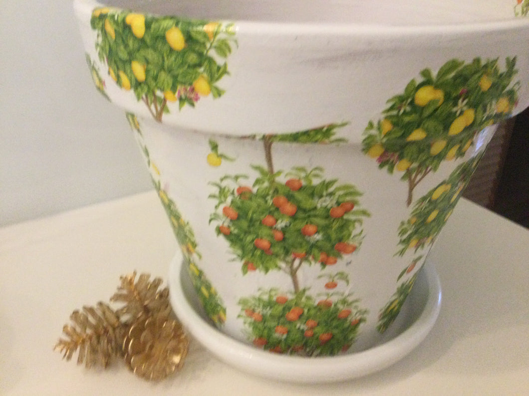 Decoupage Plant Pot